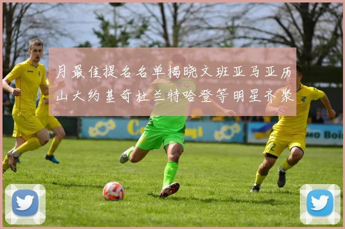 月最佳提名名单揭晓文班亚马亚历山大约基奇杜兰特哈登等明星齐聚争夺荣誉