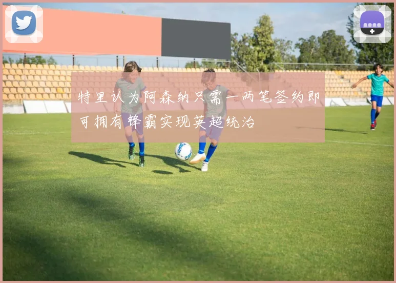 特里认为阿森纳只需一两笔签约即可拥有锋霸实现英超统治