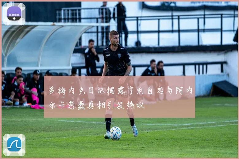多梅内克日记揭露亨利自恋与阿内尔卡愚蠢真相引发热议