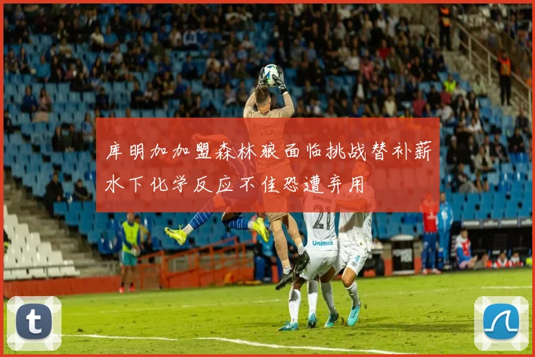 库明加加盟森林狼面临挑战替补薪水下化学反应不佳恐遭弃用